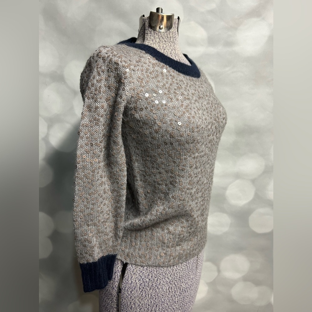 J Crew sequined (round‎ disc) sweater in oatmeal and navy trim
